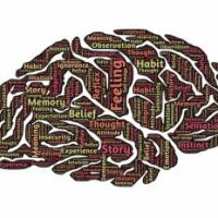 Brain - Pixabay - CC0 Public Domain